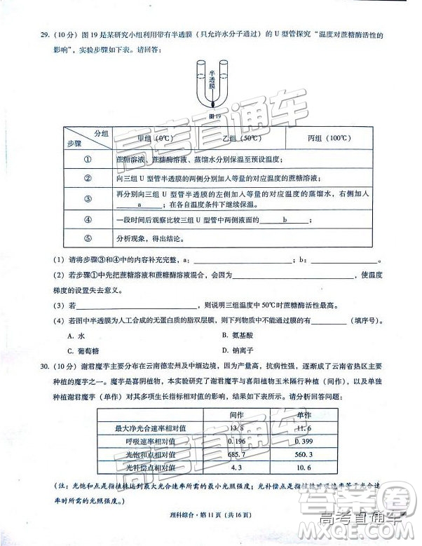 2019云师大附中高三第四次月考理综试题及参考答案