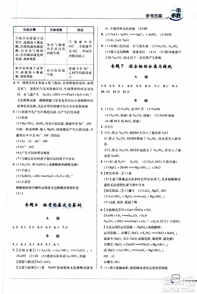 2019新版一本必胜中考化学金版青岛专版参考答案