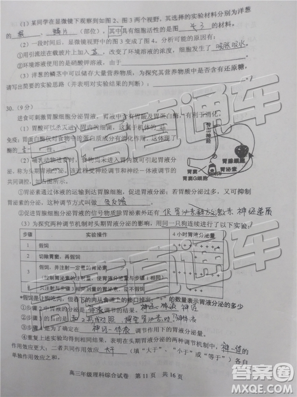 2019年武汉五月第二次调研考试理综试题及答案