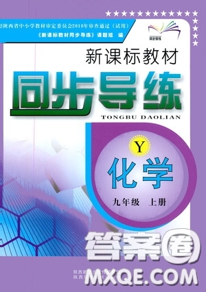 陕西科学技术出版社2019新课标教材同步导练九年级化学上册Y版答案