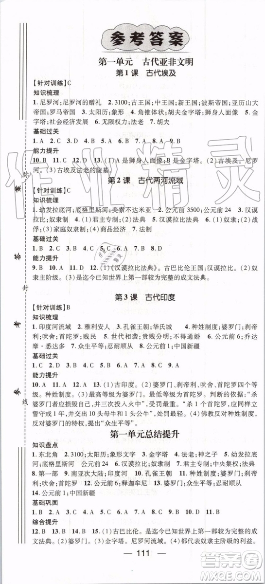 鸿鹄志文化2019年名师测控历史九年级上册RJ人教版参考答案
