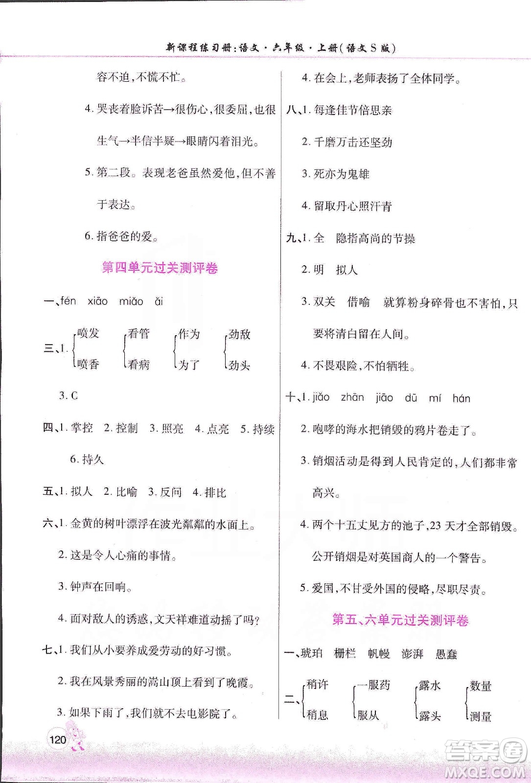河南大学出版社2019新课程练习册六年级语文上册语文S版答案