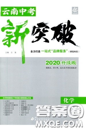 2020升级版云南中考新突破化学参考答案
