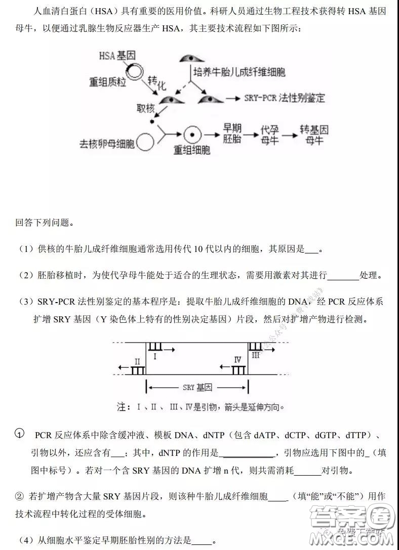 2020年河南省实验中学高三假期自主测试理科综合试题及答案