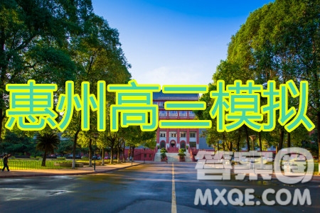 惠州市2020届高三模拟考试文科综合试题及答案
