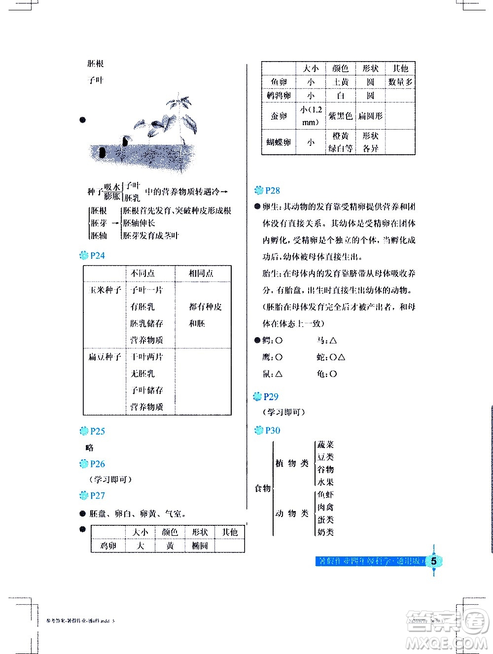长江少年儿童出版社2020年科学暑假作业四年级通用版参考答案