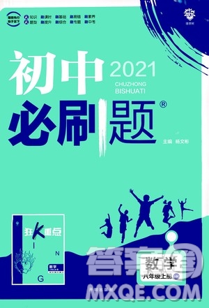 ​开明出版社2021版初中必刷题数学八年级上册HK沪科版答案