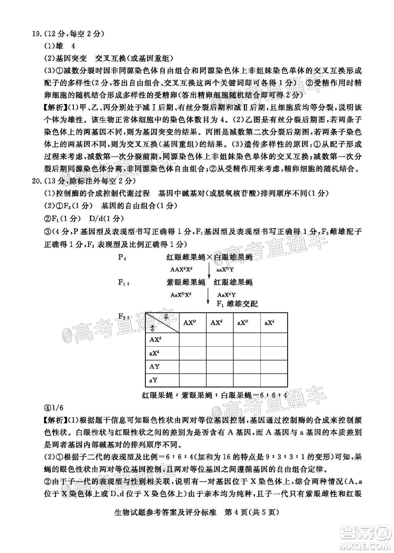 肇庆市2021届高中毕业班第一次统一检测生物试题及答案