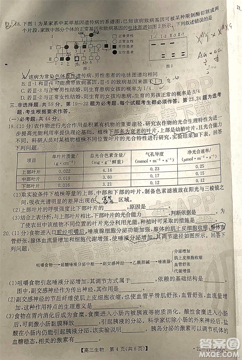 2022届河北省名校联盟高三一轮收官考试生物试题及答案