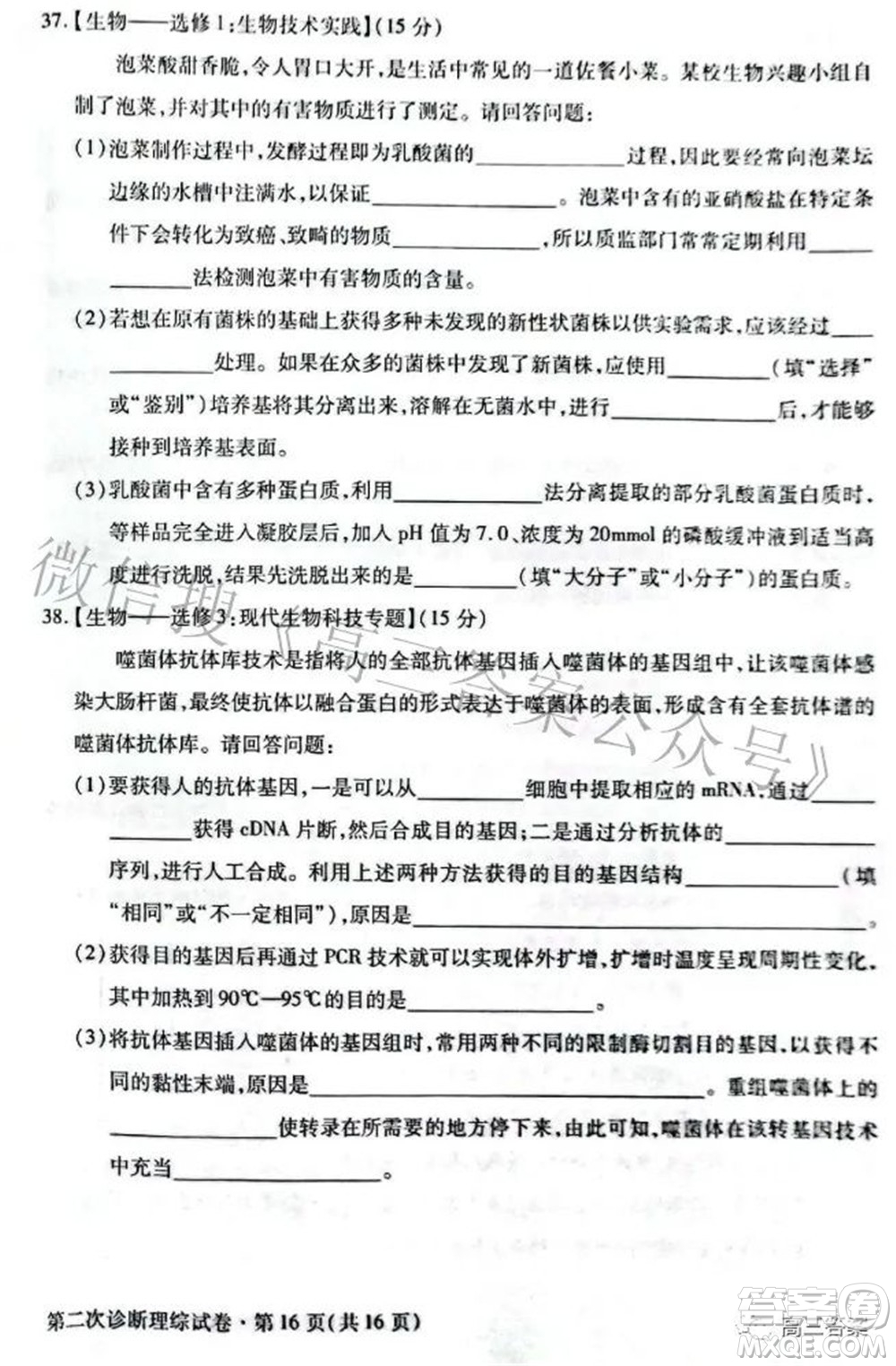 2022年甘肃省第二次高考诊断考试理科综合试题及答案