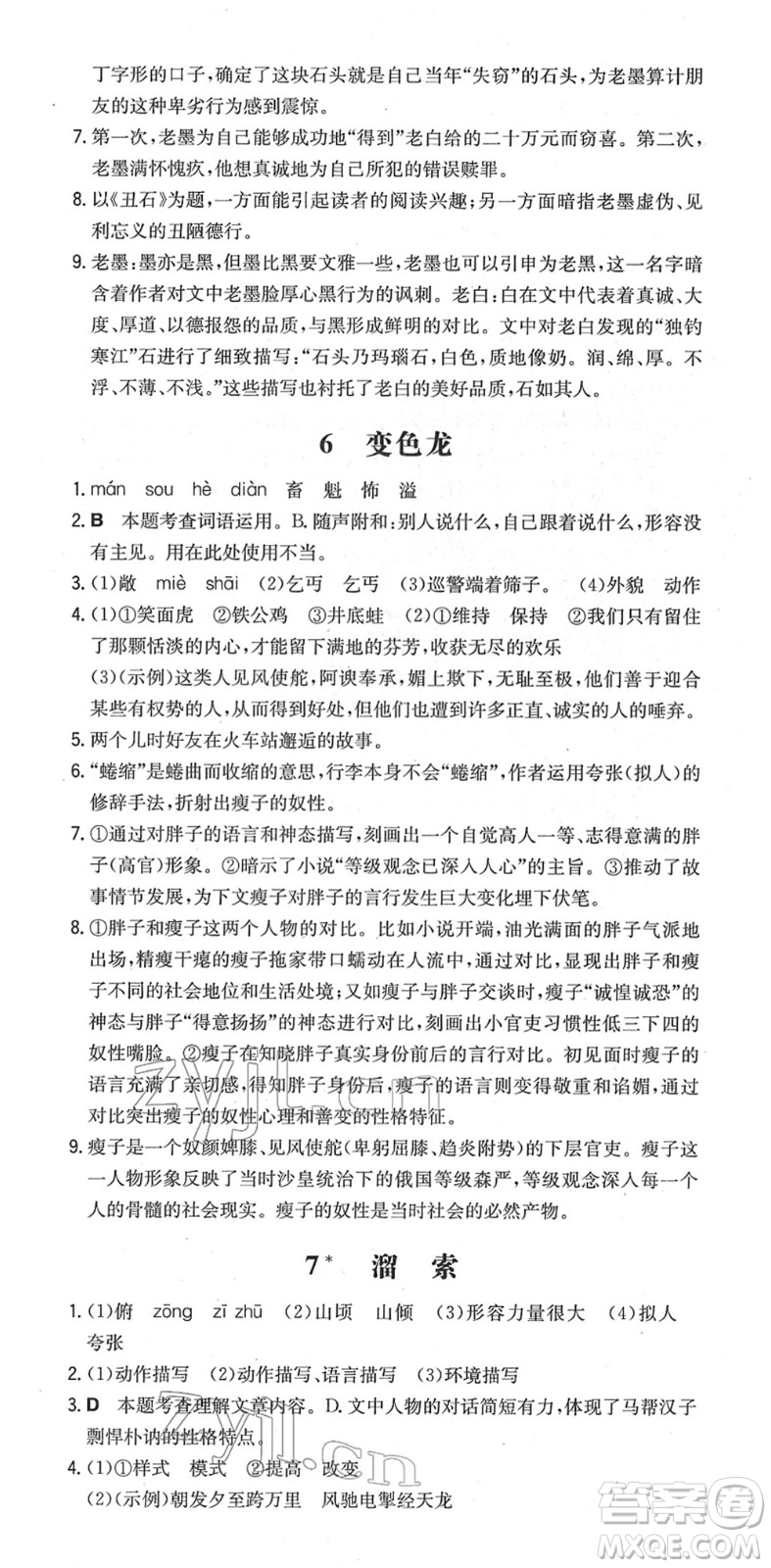 湖南教育出版社2022一本同步训练九年级语文下册RJ人教版安徽专版答案