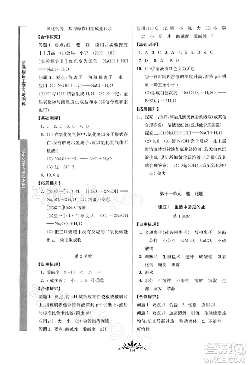 南京师范大学出版社2022新课程自主学习与测评九年级下册化学人教版参考答案插图(6)