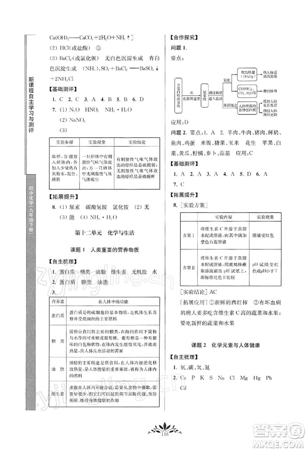 南京师范大学出版社2022新课程自主学习与测评九年级下册化学人教版参考答案插图(8)