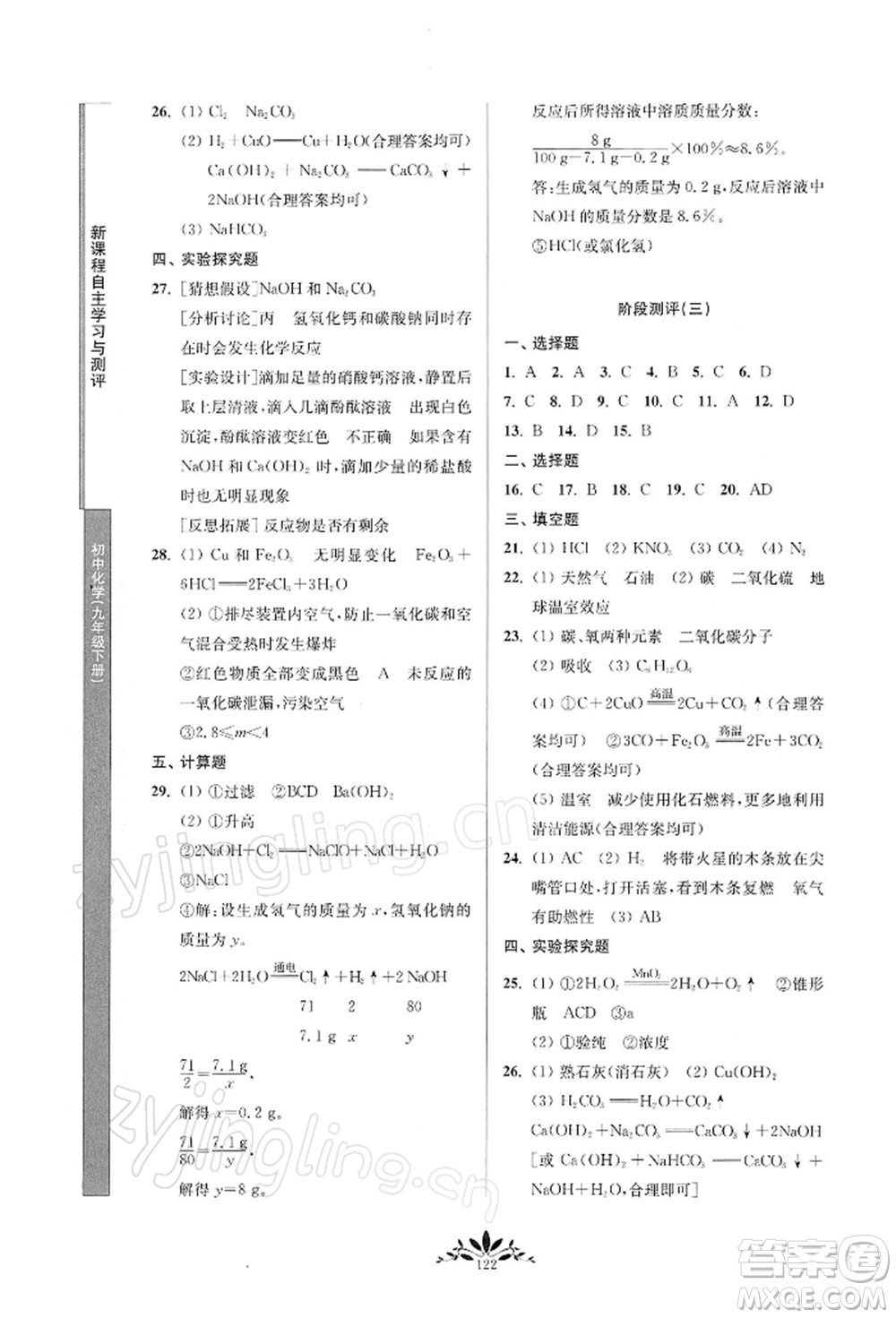 南京师范大学出版社2022新课程自主学习与测评九年级下册化学人教版参考答案插图(14)