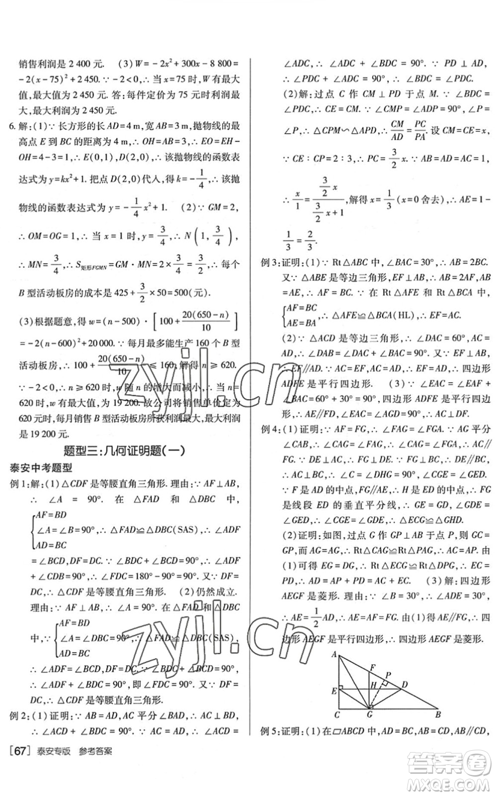 新疆青少年出版社2022升学锦囊九年级数学泰安专版答案