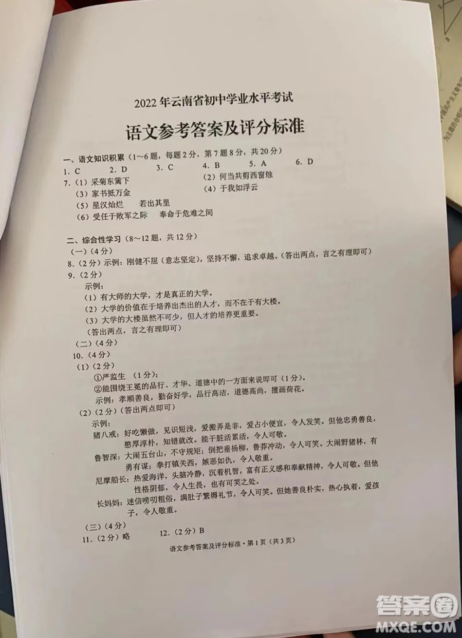 2022年云南省初中学业水平考试语文试题卷及答案插图(10)