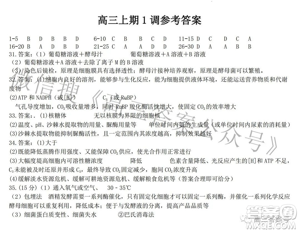 郑州四中2022-2023学年高三上学期第一次调研考试化学试题及答案