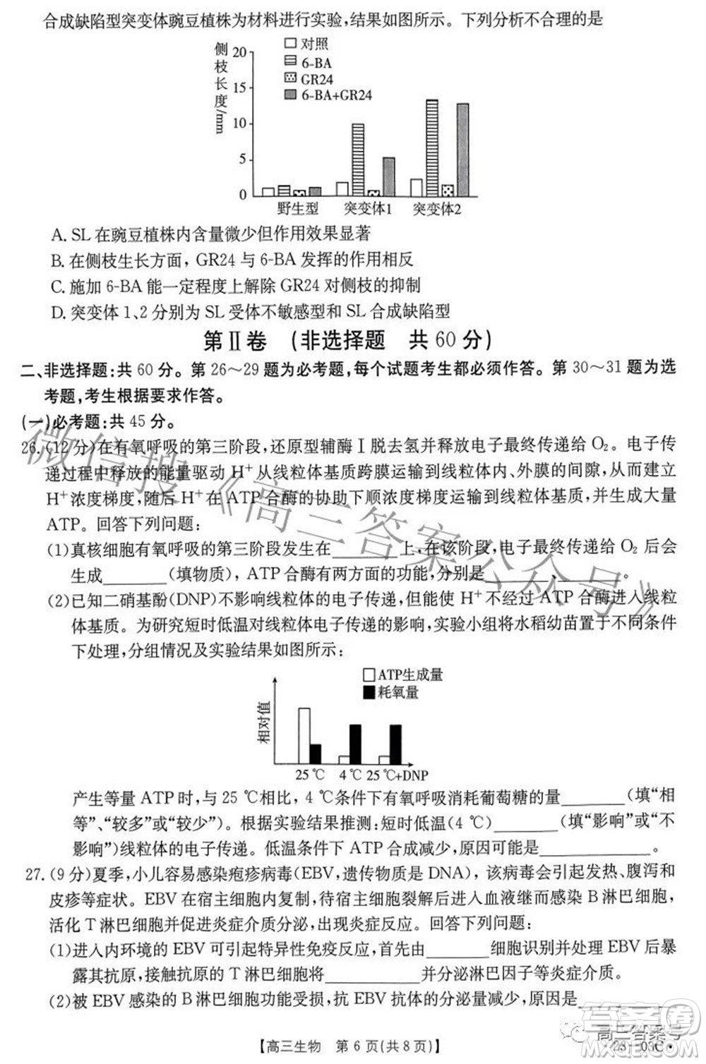 2022-2023年度河南省高三年级入学摸底考试一生物试题及答案