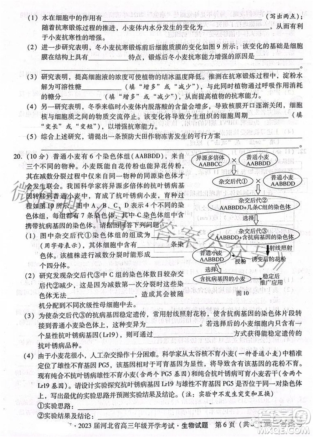 2023届河北省高三年级开学考试生物试题及答案
