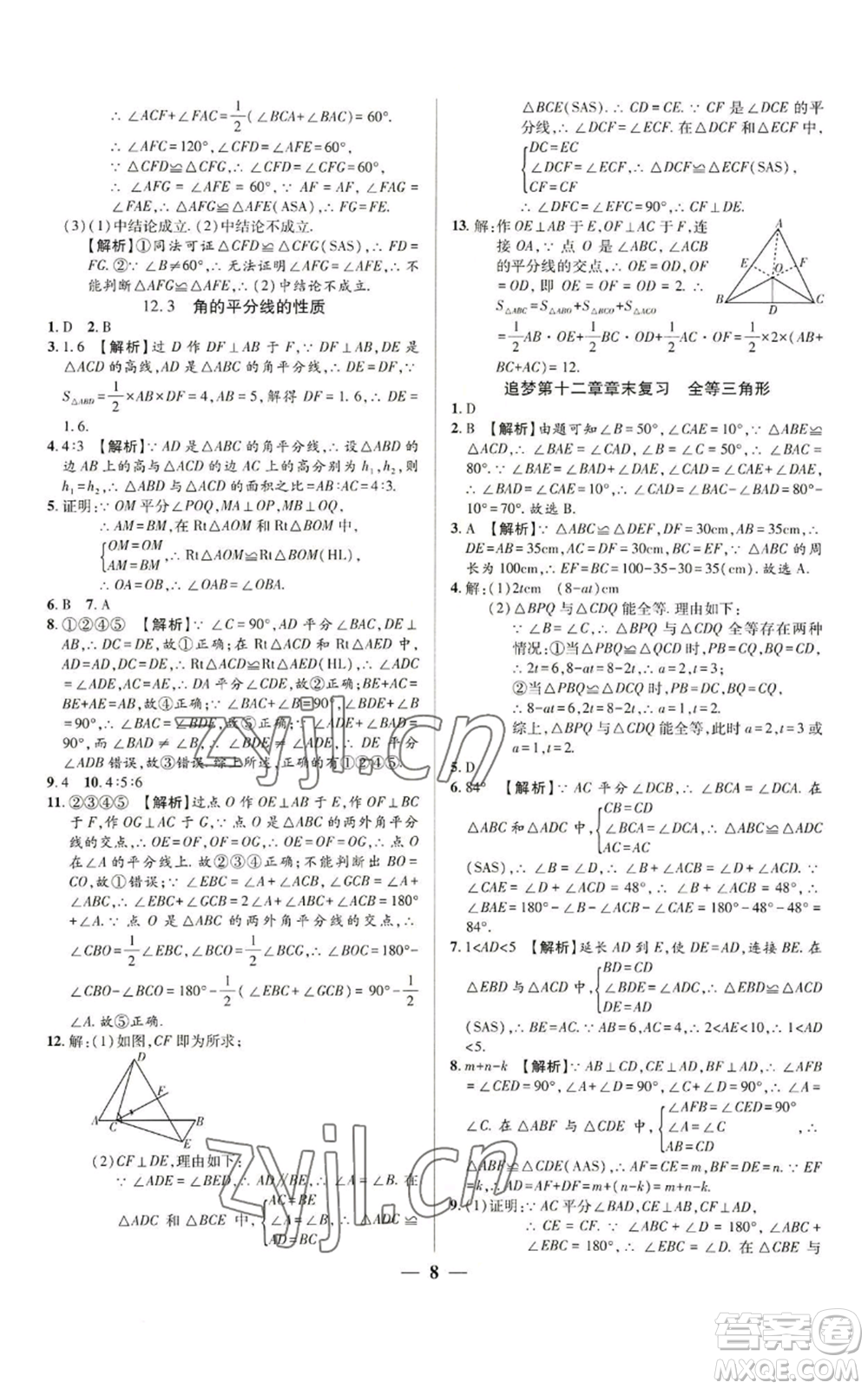 天津科学技术出版社2022追梦之旅大先生八年级上册数学人教版河南专版参考答案