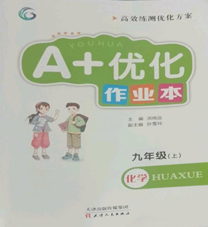 天津人民出版社2022A+优化作业本九年级上册化学人教版参考答案