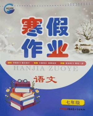 新疆青少年出版社2023寒假作业七年级语文人教版参考答案