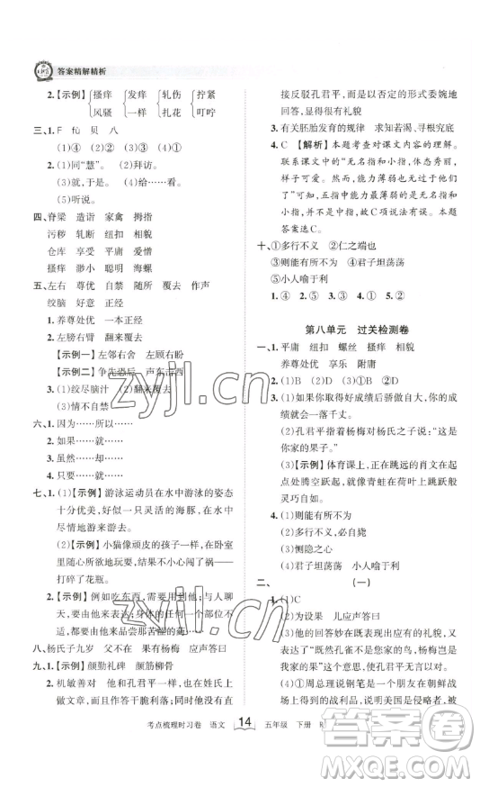 江西人民出版社2023王朝霞考点梳理时习卷五年级下册语文人教版答案