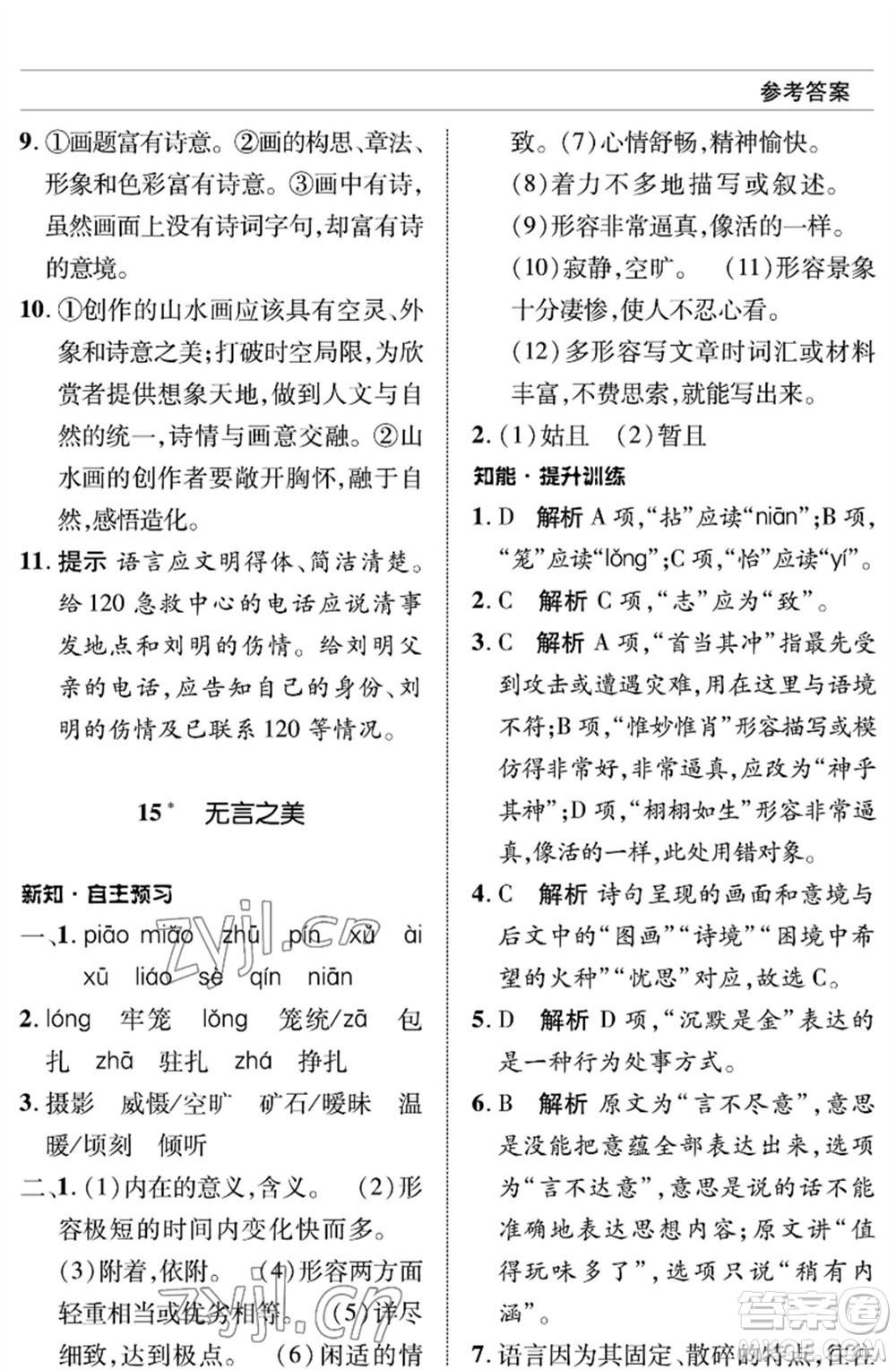 北京师范大学出版社2023语文配套综合练习九年级下册人教版参考答案