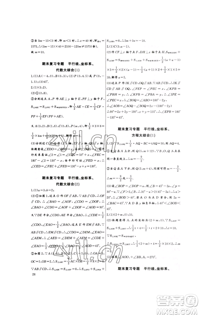 长江少年儿童出版社2023思维新观察培优讲练七年级下册数学人教版参考答案