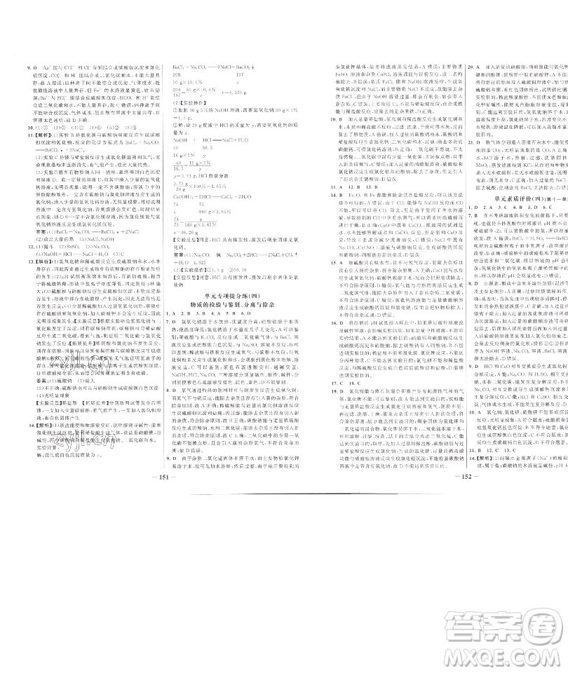 延边大学出版社2023世纪金榜百练百胜九年级下册化学人教版参考答案