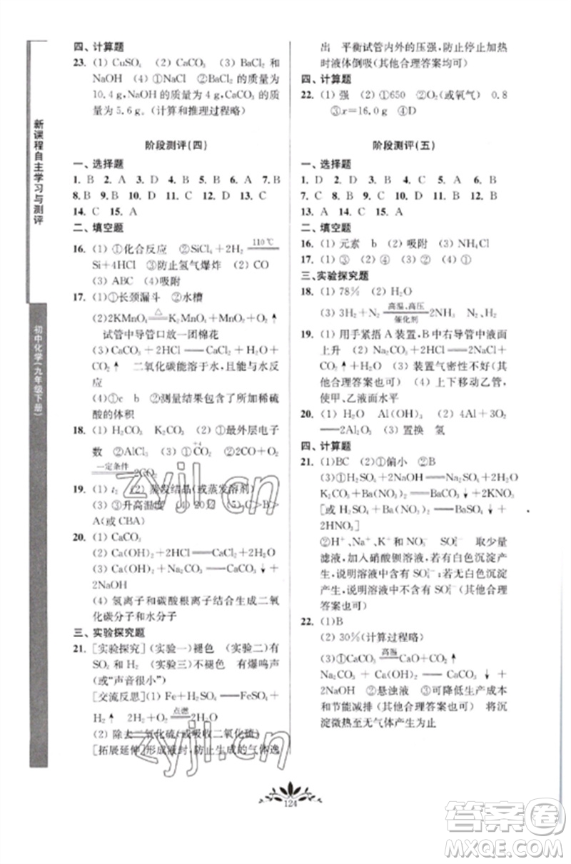 南京师范大学出版社2023新课程自主学习与测评九年级化学下册人教版参考答案