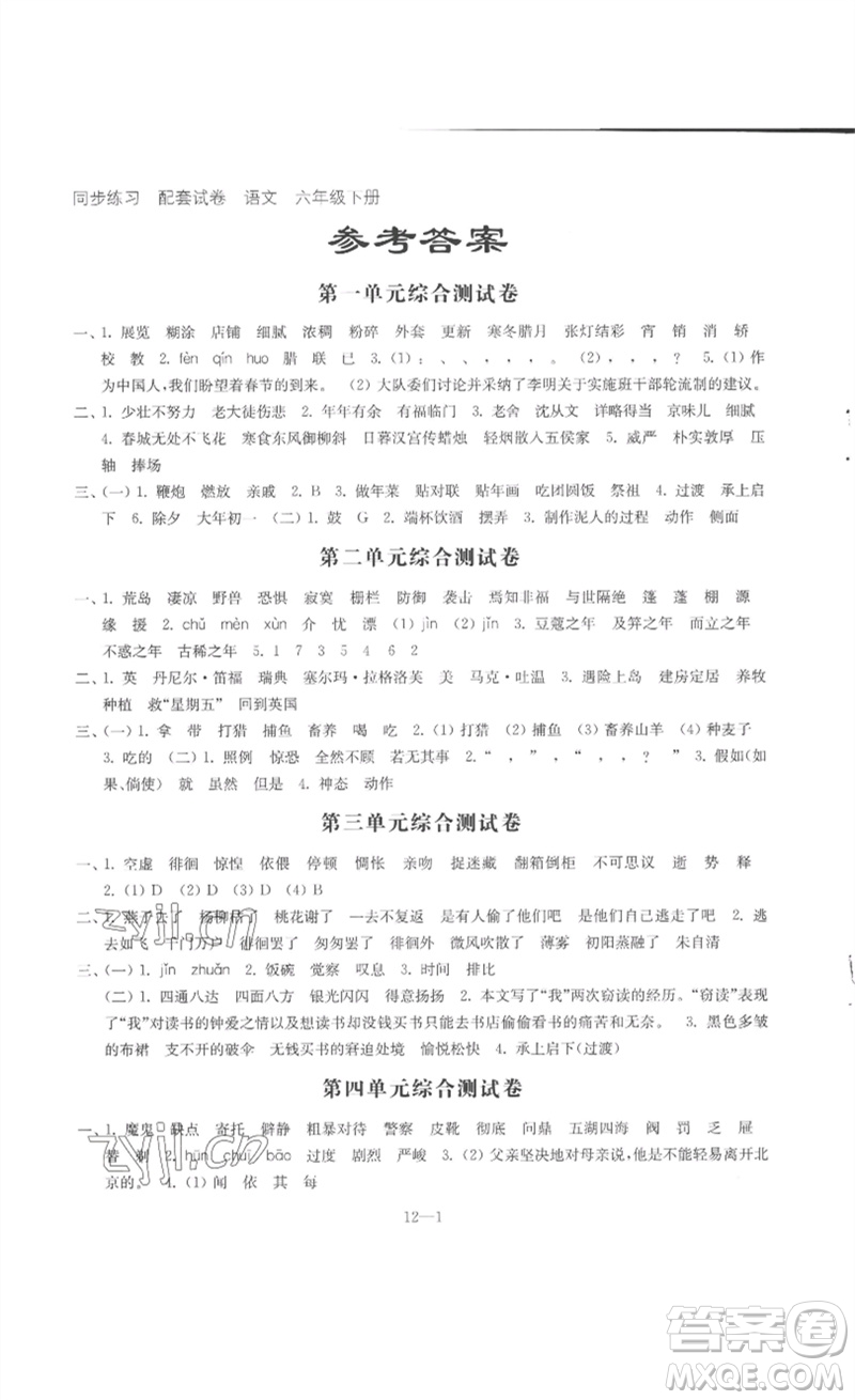 江苏凤凰科学技术出版社2023同步练习配套试卷六年级语文下册人教版参考答案