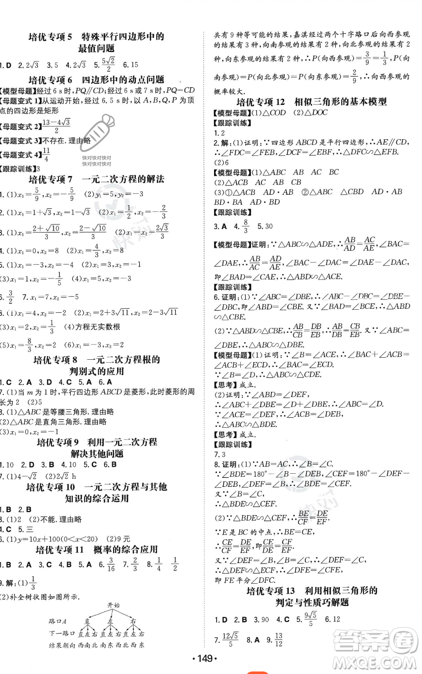 湖南教育出版社2023年一本同步训练九年级上册数学北师大版答案