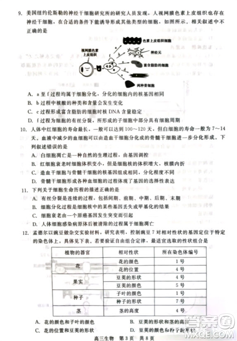 河北省新时代NT教育2024学年第一学期11月高三阶段测试卷生物答案