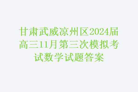 甘肃武威凉州区2024届高三11月第三次模拟考试数学试题答案