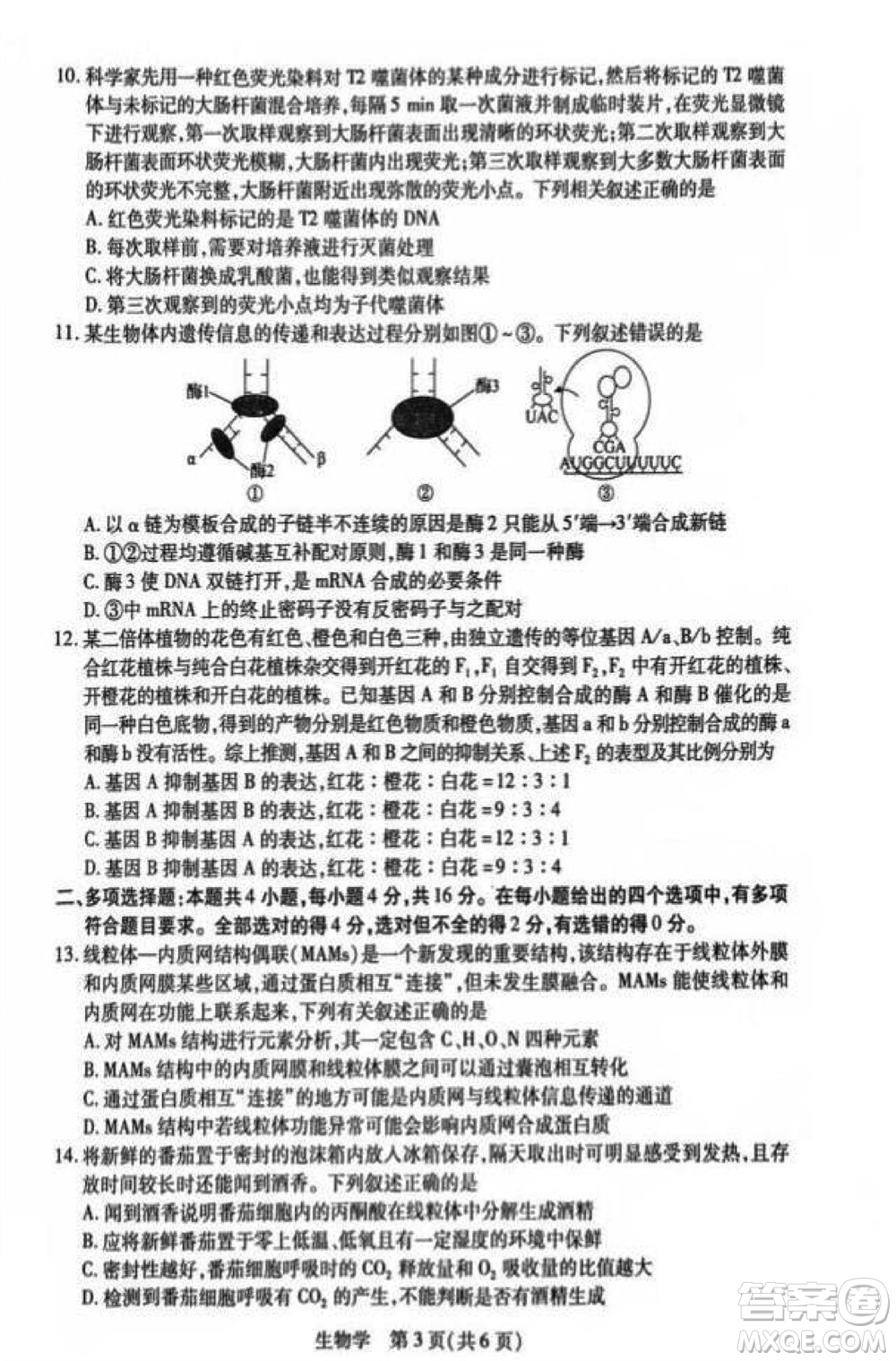 江西省稳派2024届高三11月一轮总复习调研测试生物试题答案