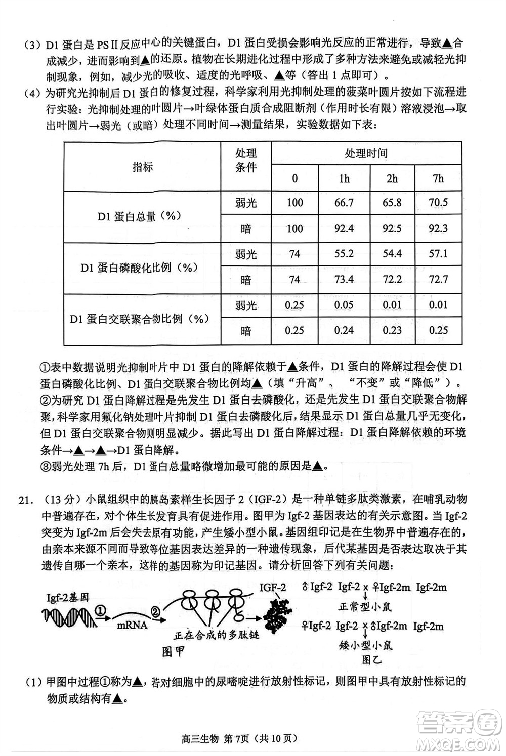 扬州市2023-2024学年高三上学期期中检测试题生物答案