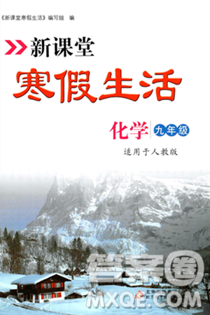 北京教育出版社2024新课堂寒假生活九年级化学人教版答案