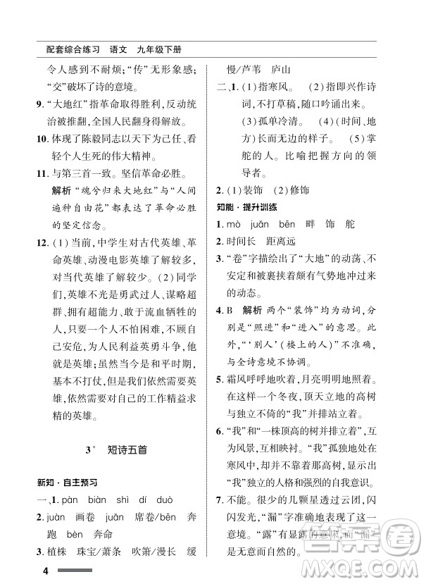 北京师范大学出版社2024年春配套综合练习九年级语文下册人教版参考答案