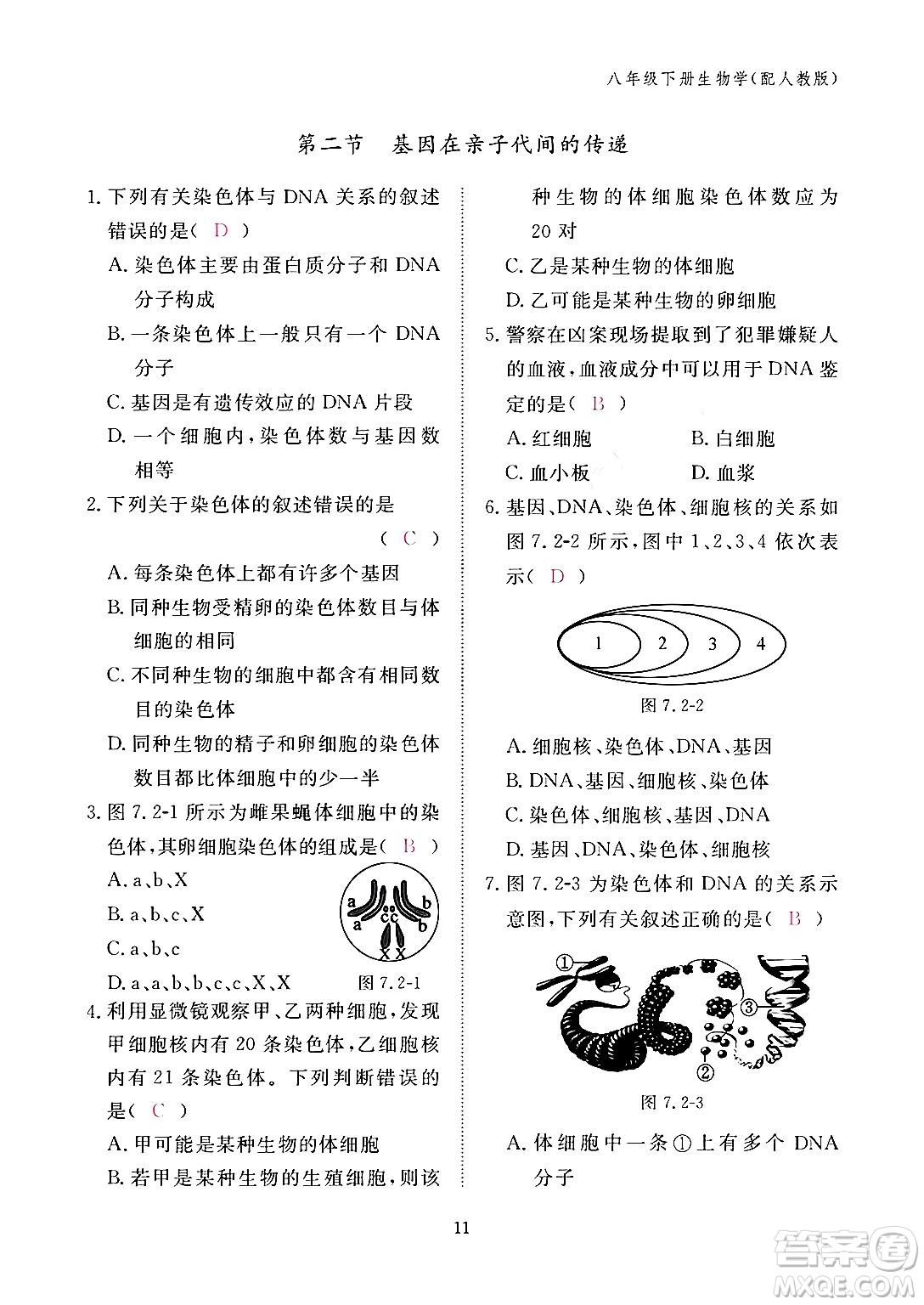 江西教育出版社2024年春生物作业本八年级生物下册人教版答案